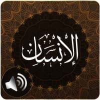 Surah Insan Audio on 9Apps