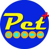 Japanese Real Hot Movies HD