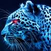 blue cheetah wallpaper on 9Apps