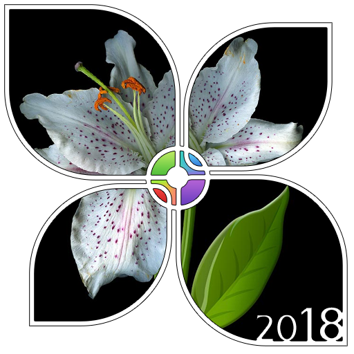 Shiny Absolute Black Theme icon