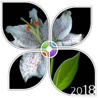 Shiny Absolute Black Theme on 9Apps