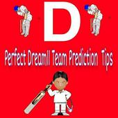 Dream11 playing11-Dream11 Team Prediction &amp; Tips icon