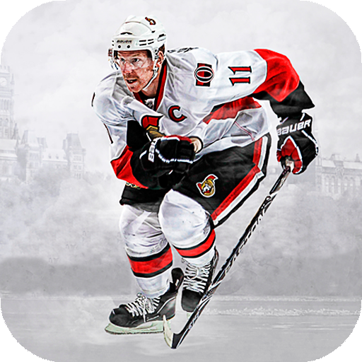 Hockey Wallpaper HD : backgrounds &amp; themes أيقونة