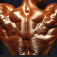 Mass Muscle Building