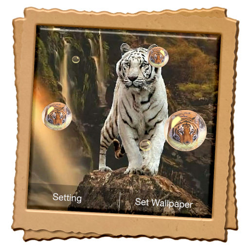 Tiger Live Wallpaper icon