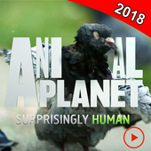 Animal Planet: Channel 2018 icon