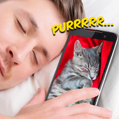 Cat Kitty Meow sounds icon