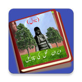 Veeran Mehal Ki Churail Novel icon