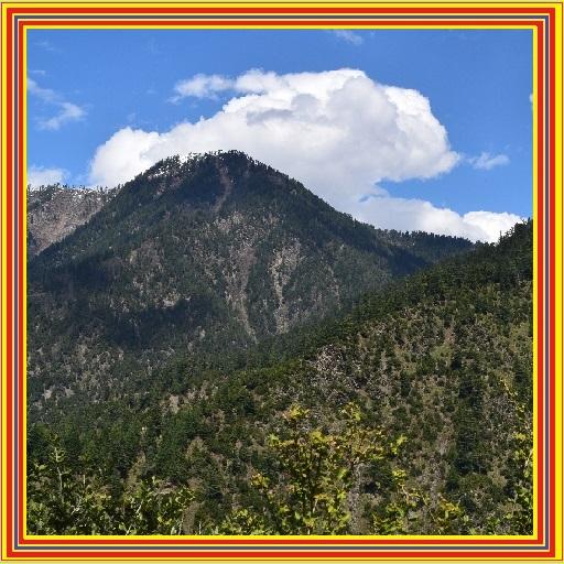 Best Nature Wallpapers icon