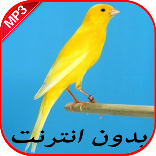 صوت الكناري بدون نت icon