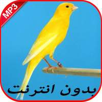 صوت الكناري بدون نت on 9Apps