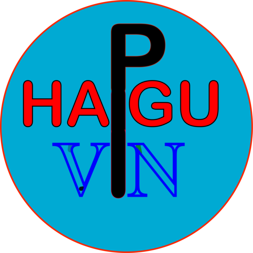 HAGU VPN أيقونة