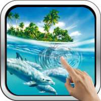 Magic Touch: Dolphins