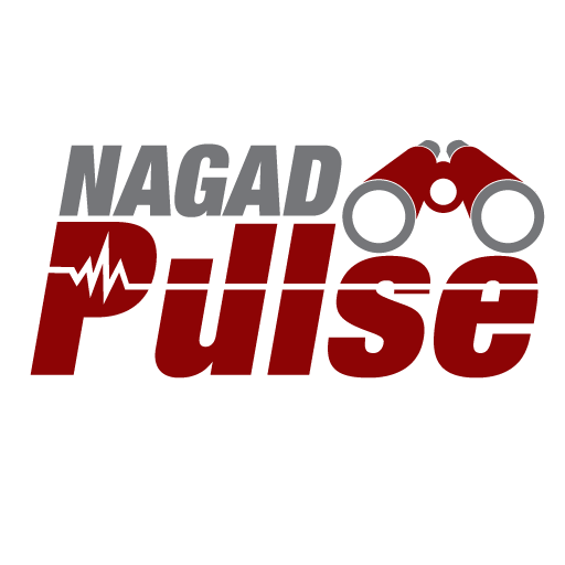 Nagad Pulse MR icon