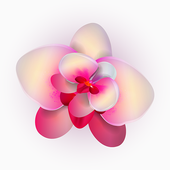 Orkid Gallery icon