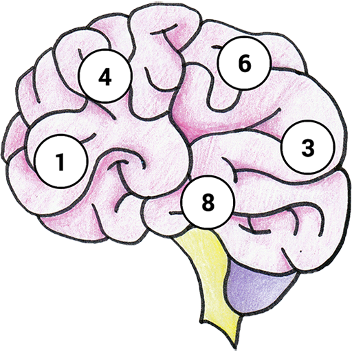 Brain Memory Exercise icon