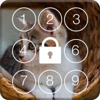 Lovely Cat PIN Screen Lock