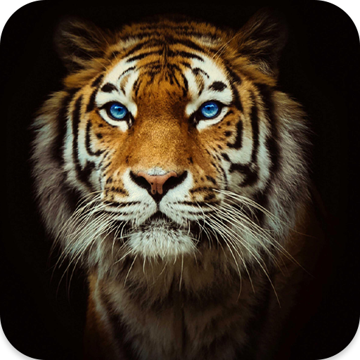 Tiger Sounds icon