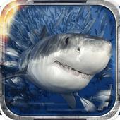 바다이야기 icon