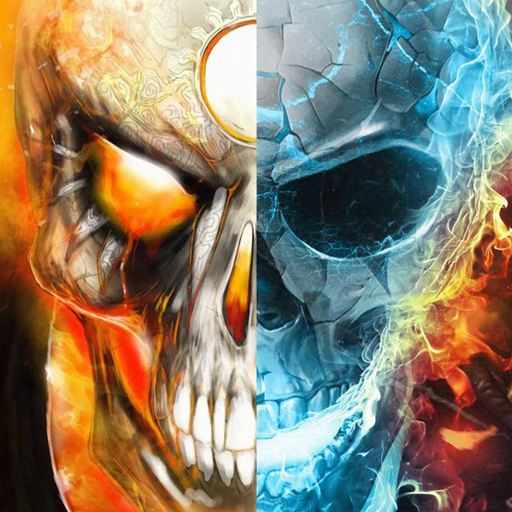 Ice Fire Skull Wallpapers icon