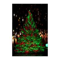 Christmas Light Live Wallpaper on 9Apps