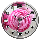 Ranunculus Clock Live WP icon