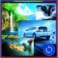 Automatic Background Changer on 9Apps