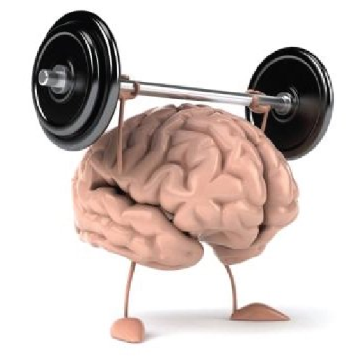 Логика и Смекалка आइकन