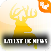 turbo uc news trending tips icon