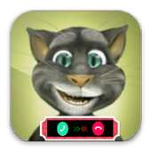 Call From Tom Cat Simulation