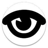 Anti Theft Concept icon