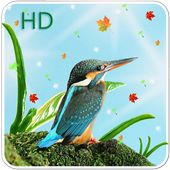 Cute Birds Live Wallpaper icon
