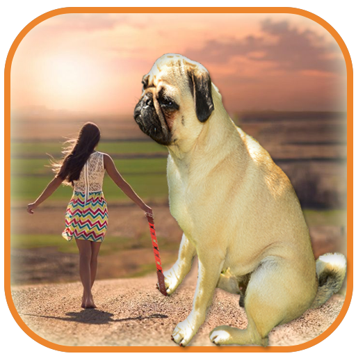 Real  Big Camera – Big Effect Photo Editor icon