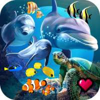 Ocean Reef Life - 3D Virtual Aquarium