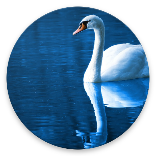 Relaxation Music icon