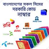 BD ALL SIM information pro