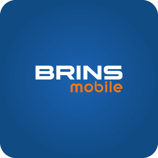BRINSmobile icon