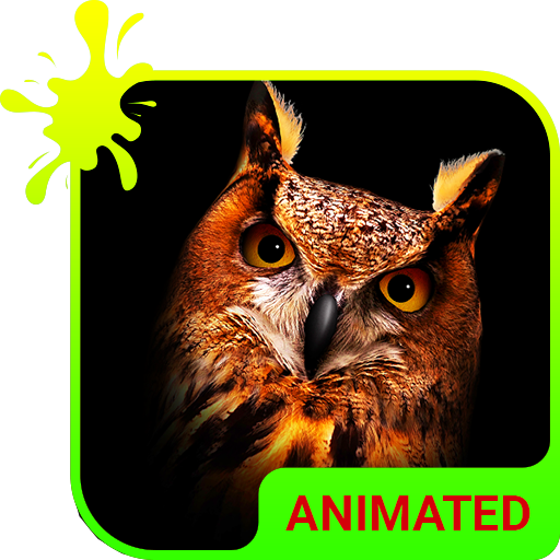 Owl Animated Keyboard   Live Wallpaper icon