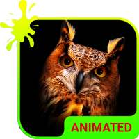 Owl Animated Keyboard   Live Wallpaper on 9Apps