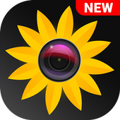 HD Gallery Video Player icon