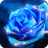 Blue Rose Theme – AppLock icon
