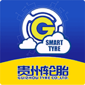 Smart Tire icon