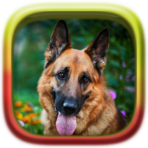 Picture Puzzle: German Shepherd Dogs icon