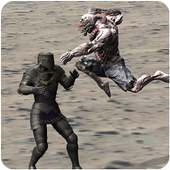 Hadouken : The Revolution In Kungfu Street Fight !