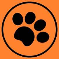 Razas de perros on 9Apps