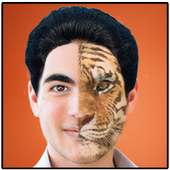 Face2Face funny photo effects