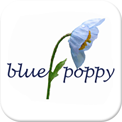 Valley of Flowers icon