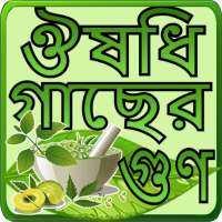 হার্বাল চিকিৎসার A to Z. Harbal medicine in bangla