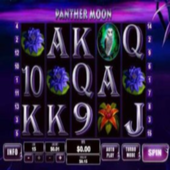 PANTHER REEL GAME icon