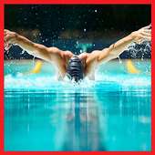 Learn Swimming Step by Step